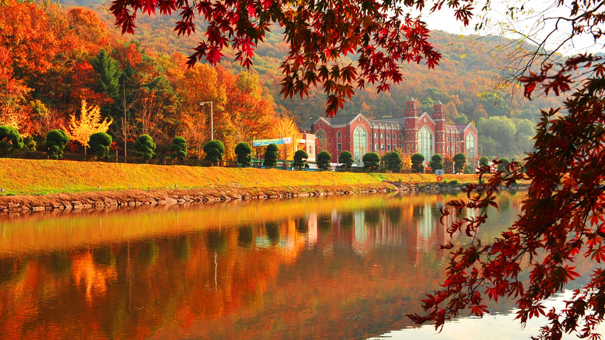 한국외대 글로벌캠퍼스 가을