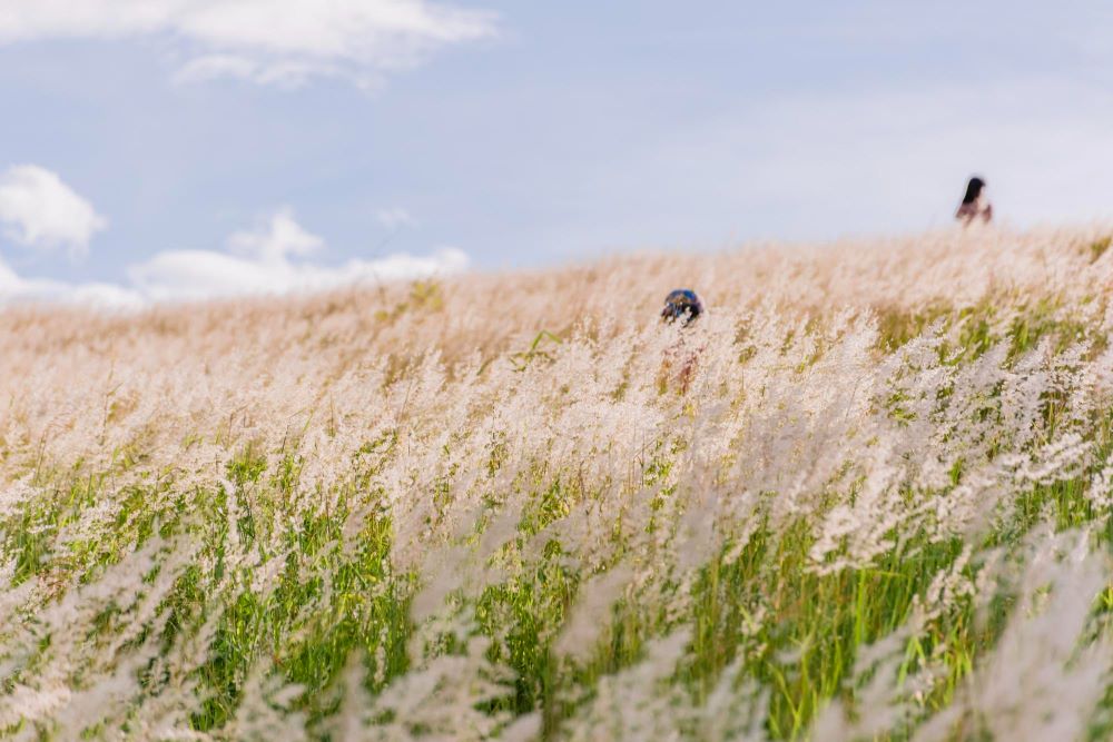 한국 알프스라 부를 수 있는 대한민국 명소 5 / Designed by Freepik