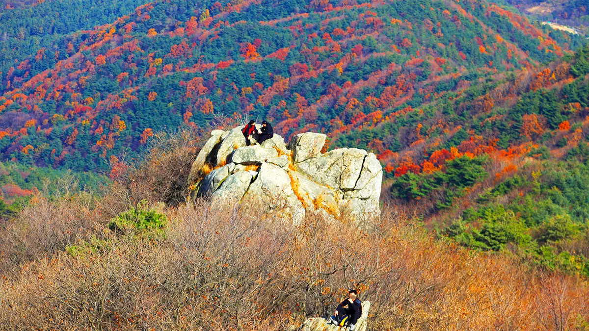 모악산 단풍 전경
