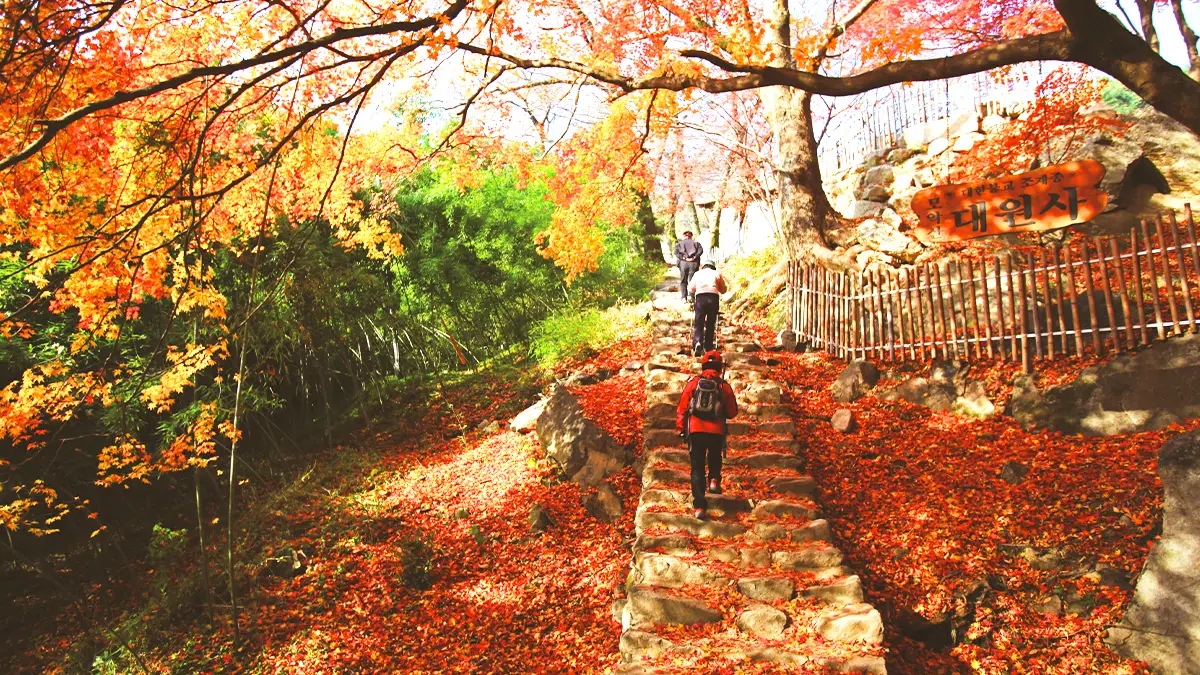 모악산 가을 트레킹