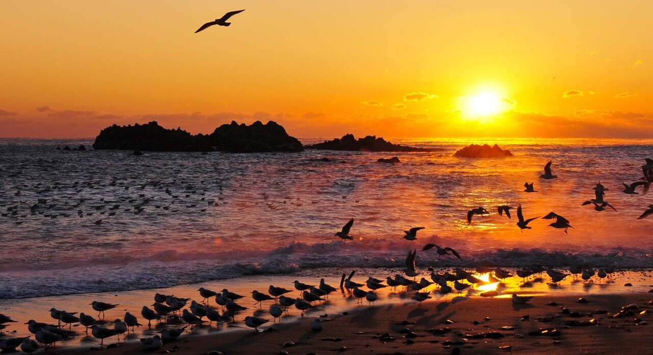 [경주 문무대왕릉] / 사진=경주시관광사진공모전@김민지