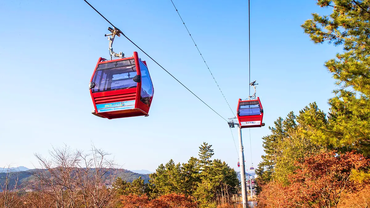 울진 왕피천 케이블카