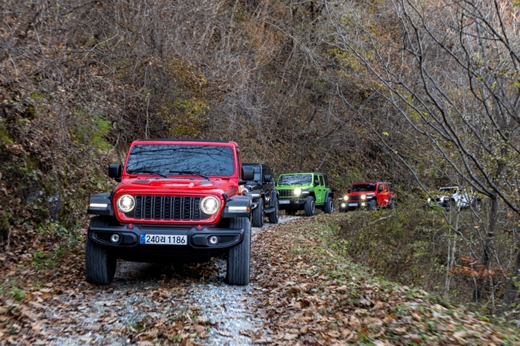 지프 랭글러 루비콘은 험로 주행에 특화된 차량이다. 사진은 11월 6일 진행한 지프 어드벤처 데이에서 병방산과 기우산을 주행하는 랭글러 무리. / 스텔란티스코리아