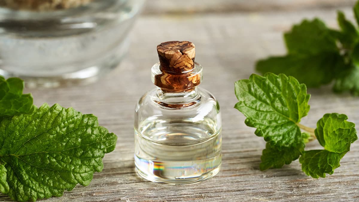 페퍼민트 오일