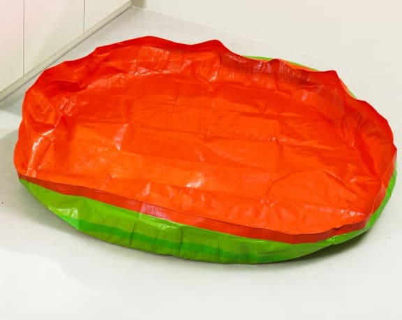 사진 = 다이소몰