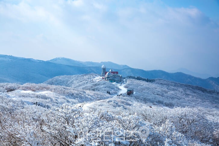 소백산 겨울 설경 / 사진=게티이미지뱅크