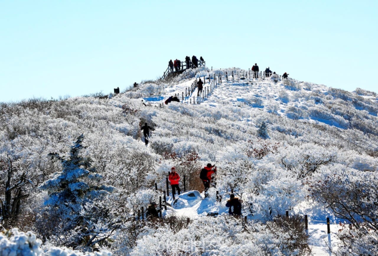 덕유산 겨울 설경 / 사진=게티이미지뱅크