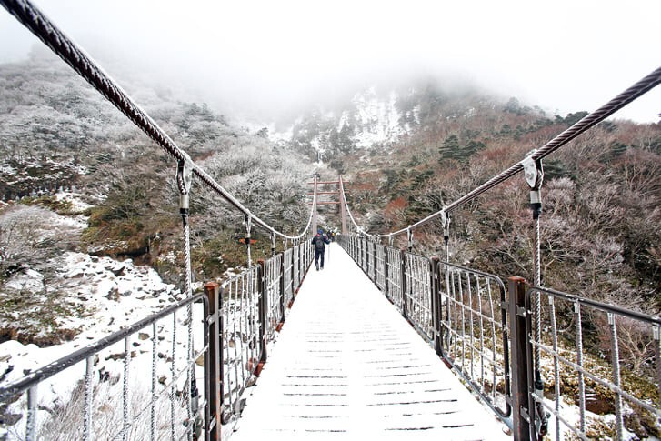 제주 한라산 겨울 설경 / 사진=게티이미지뱅크