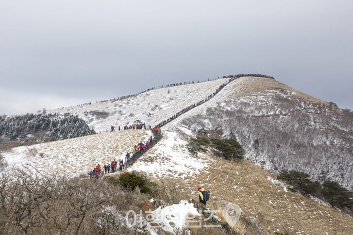소백산 겨울 설경 / 사진=게티이미지뱅크