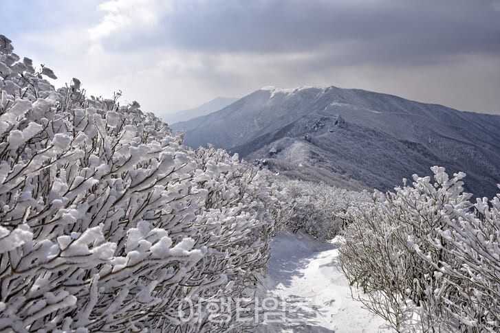 소백산 겨울 설경 / 사진=게티이미지뱅크