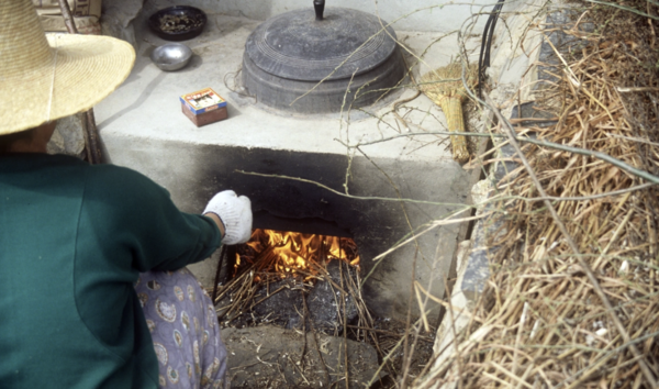 도시에서 접하기 어려운 활동이 젊은 세대에게는 특별한 경험으로 다가간다./ 한국민족문화대백과사전