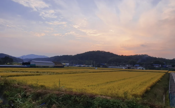 시골로 떠나는 ‘촌캉스’가 젊은 세대 사이에서 주목받고 있다. / 구글 이미지 캡처