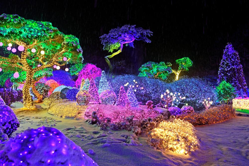 아침고요수목원 / 사진=경기관광