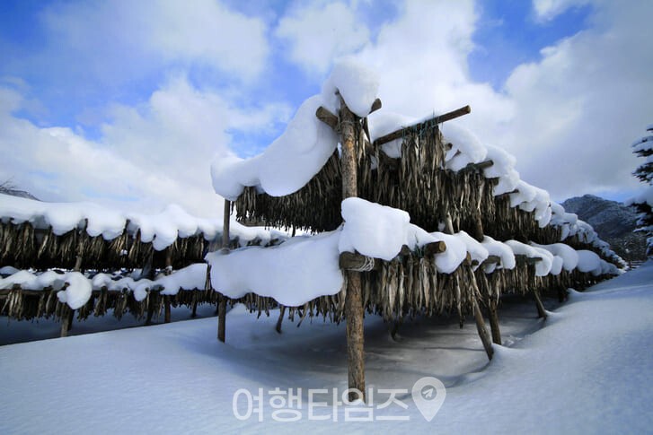 용대리 황태마을 / 사진=게티이미지뱅크