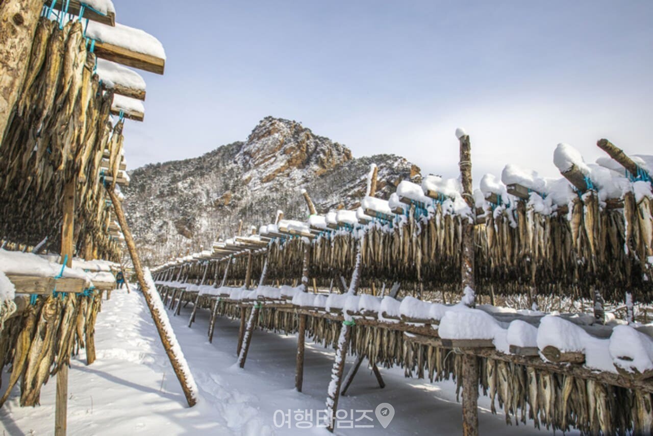 용대리 황태마을 / 사진=게티이미지뱅크