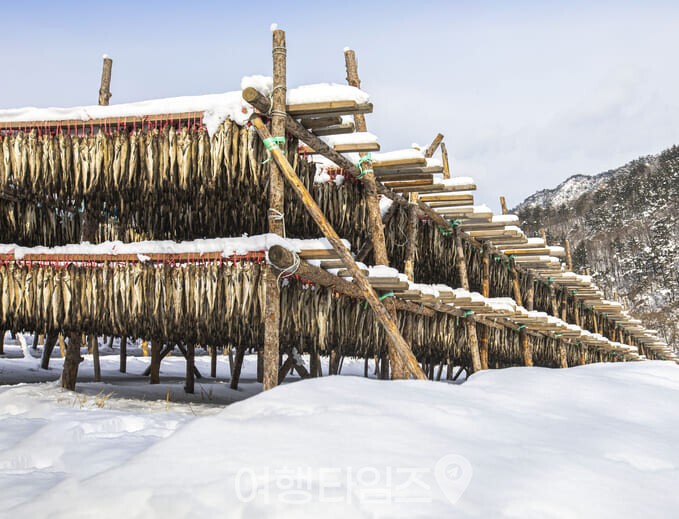 용대리 황태마을 / 사진=게티이미지뱅크