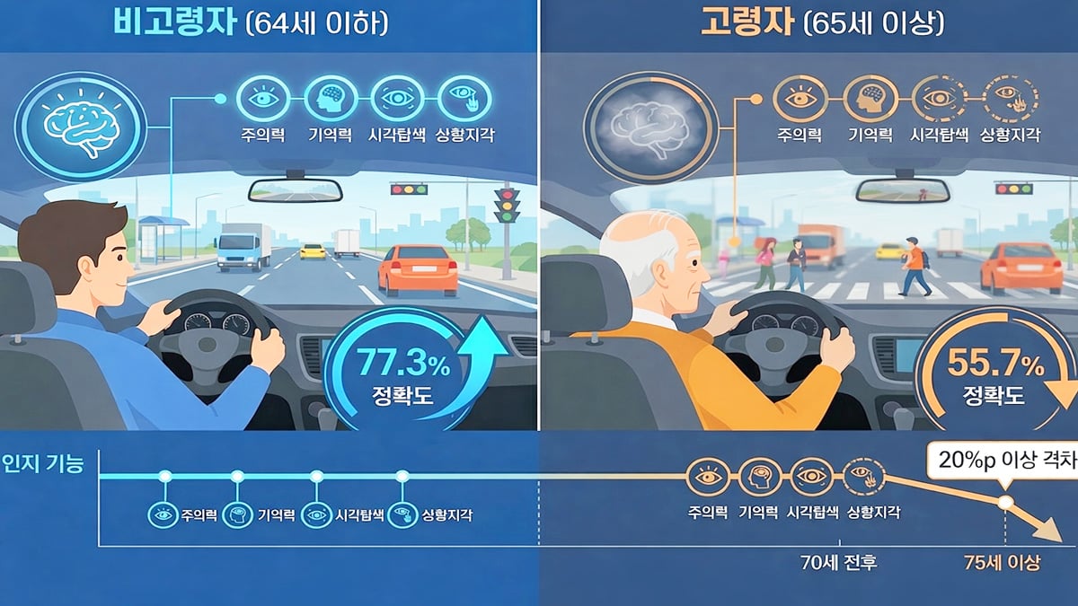 고령 운전자 인지능력 분석