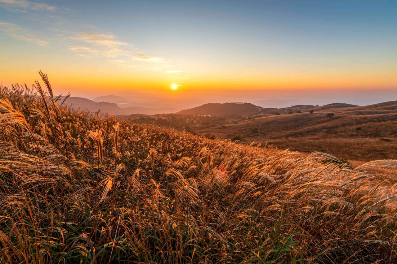 황매산 억새와 일출 / 사진=한국관광공사 포토코리아@윤종구