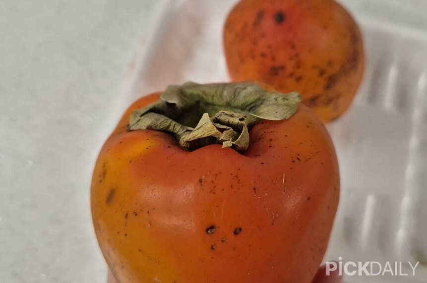 홍시 꼭지 / 사진= 픽데일리