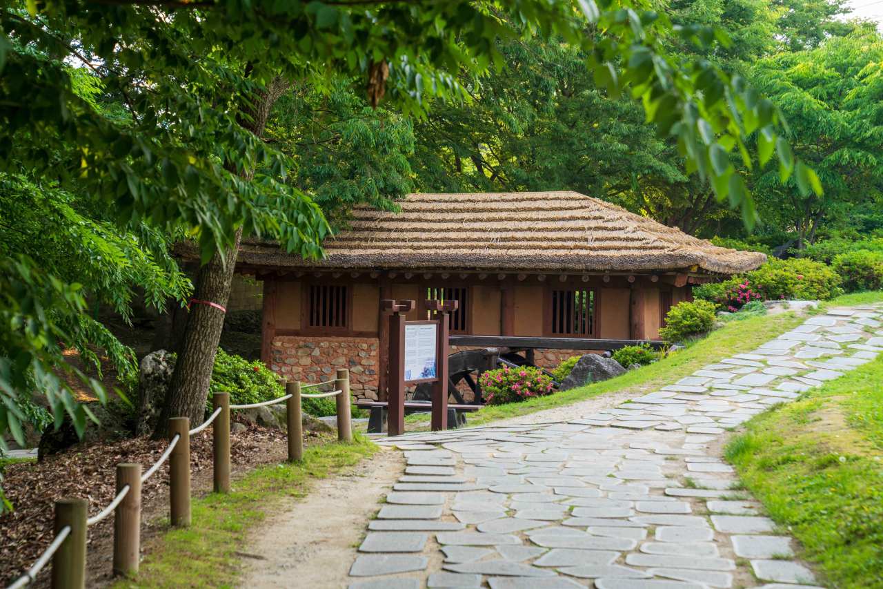 천년 숲 힐링 삼양숲길 / 사진=한국관광공사 포토코리아@김지호